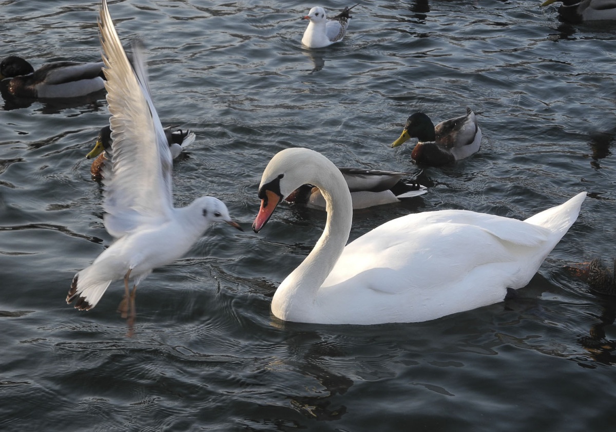 zufällige Begegnungen