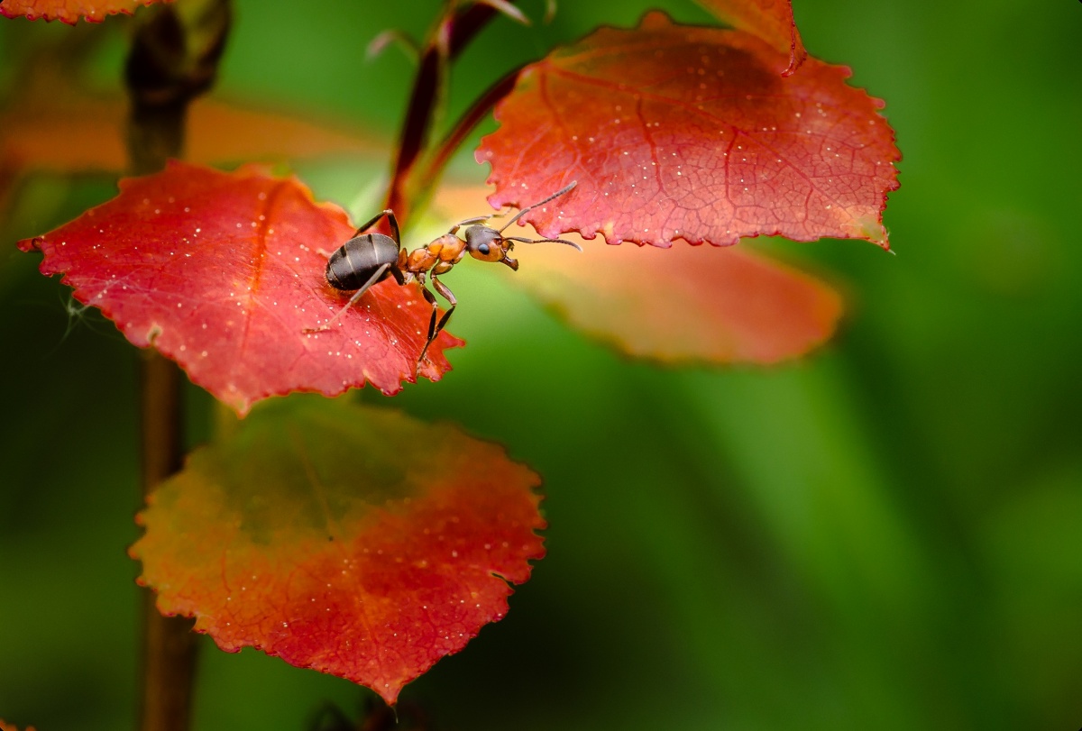 Ich kletterte hoch, aber ...