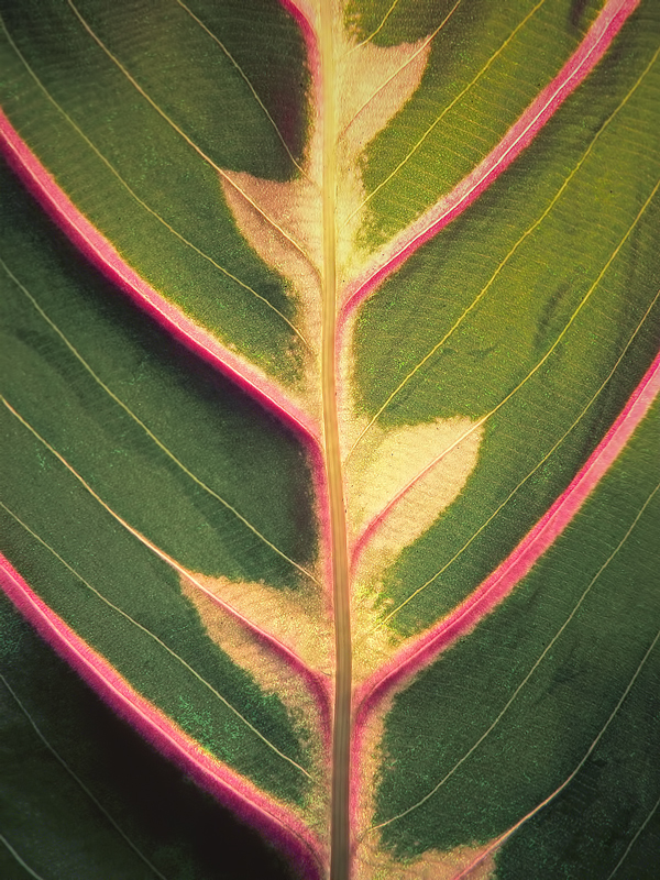 Way №4 (aus der Serie "ebene Straße")