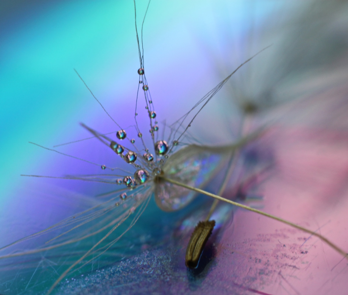 Frühling Zärtlichkeit