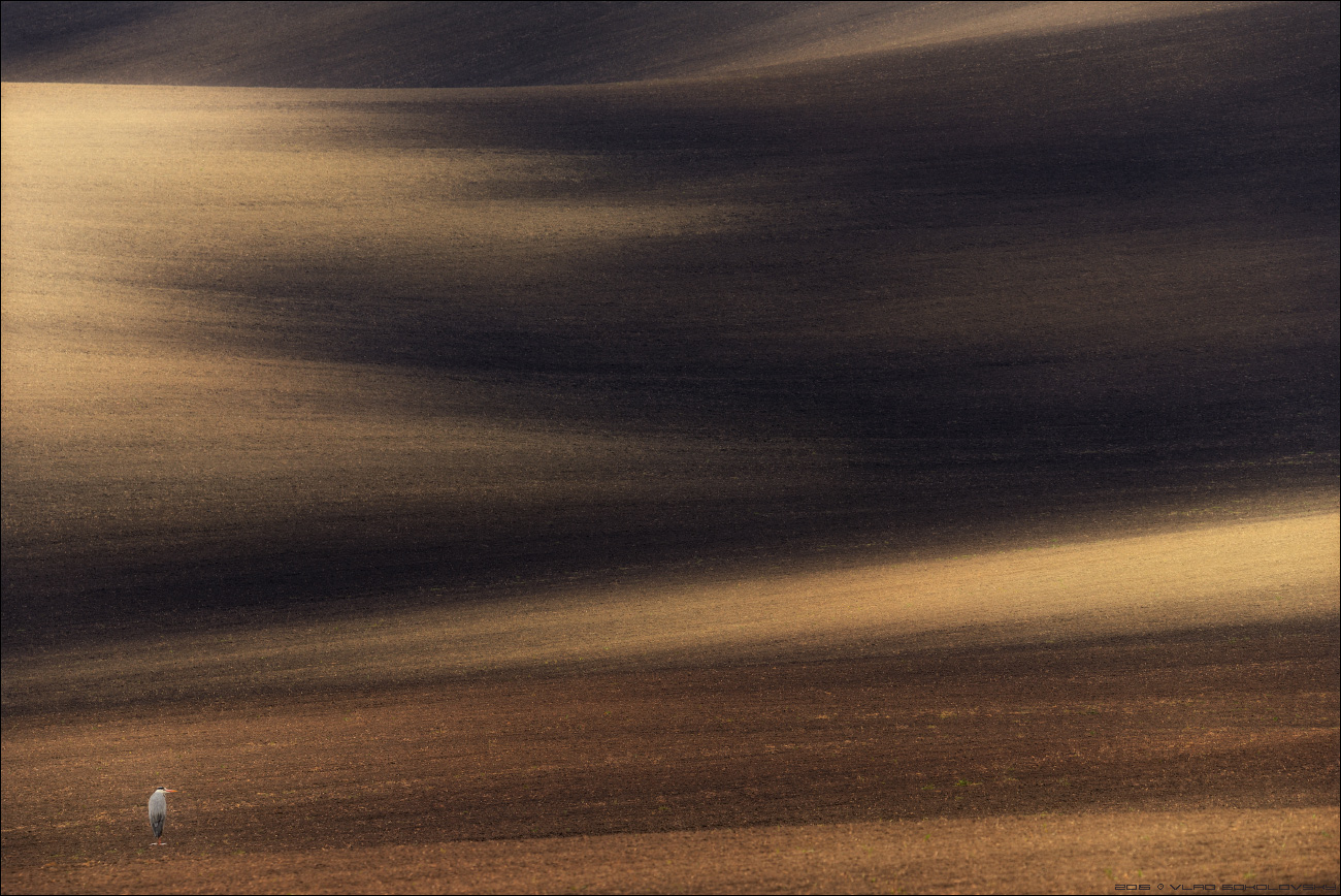 / General Sandkasten /