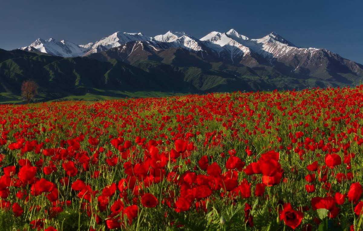 Sketch mit nassen Schuhen