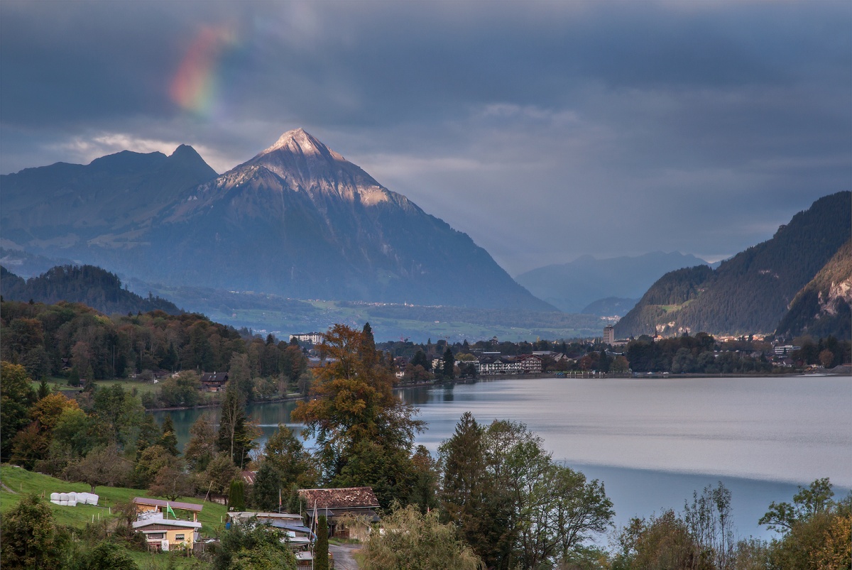 bis die Kühe nach Hause kommen