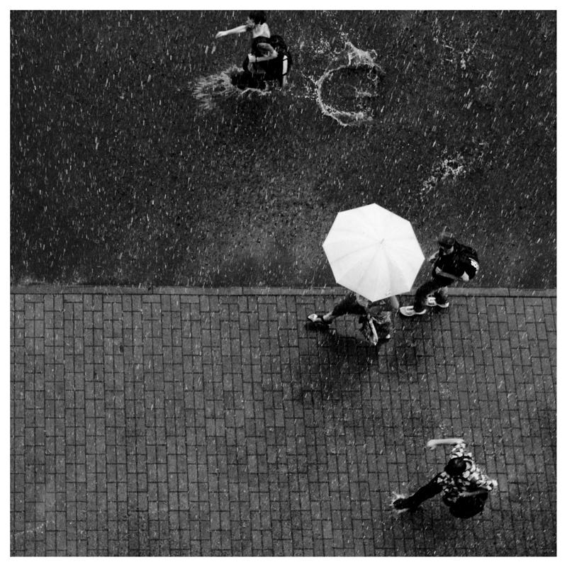 Eitelkeit der Eitelkeiten