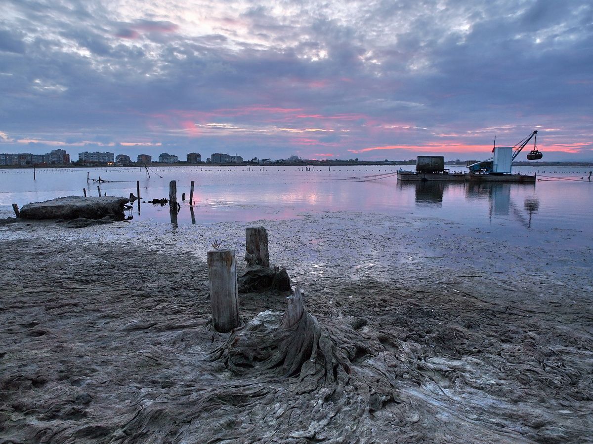 eine Decke von Algen