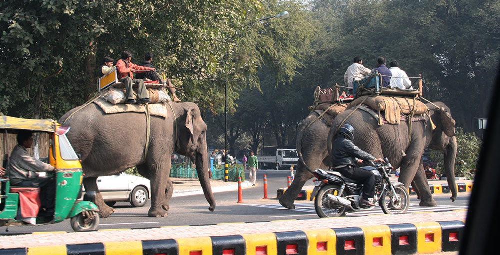 Eitelkeit der Eitelkeiten