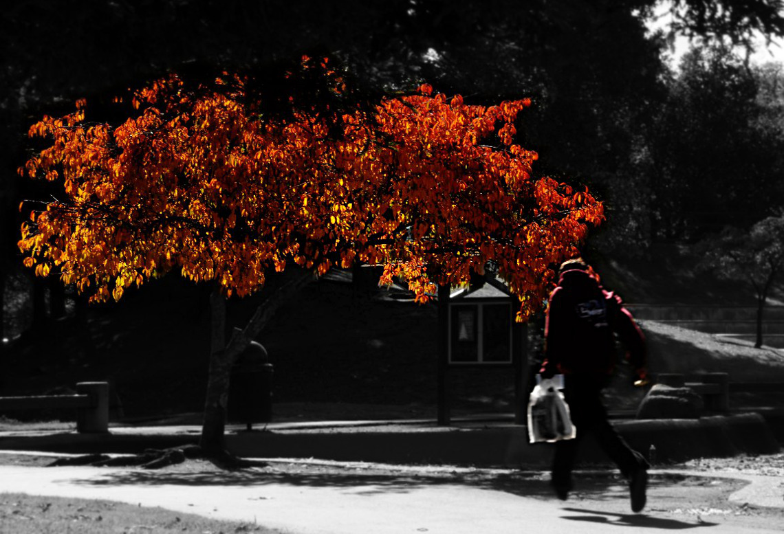 Eitelkeit der Eitelkeiten