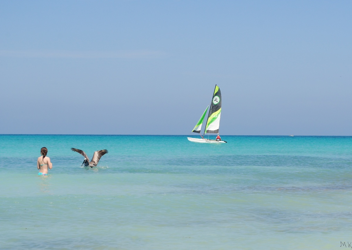 * Zusammen mit Pelican **