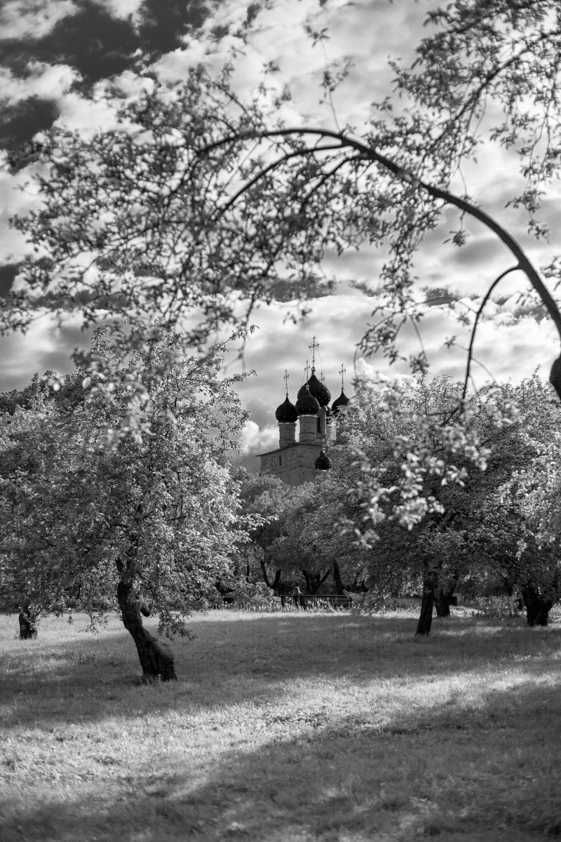 Frühling in Kolomenskoye