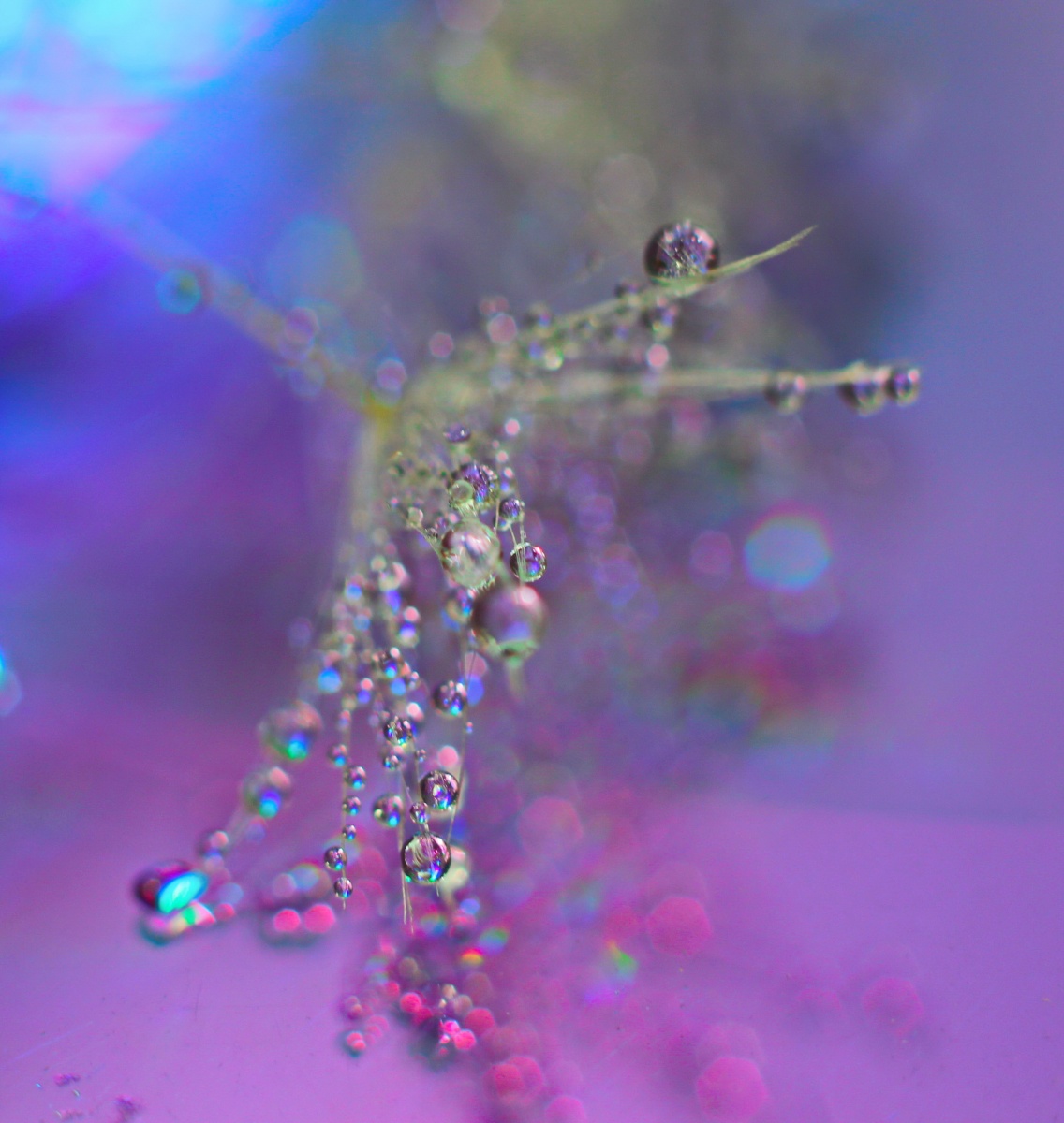 Frühling Zärtlichkeit 2