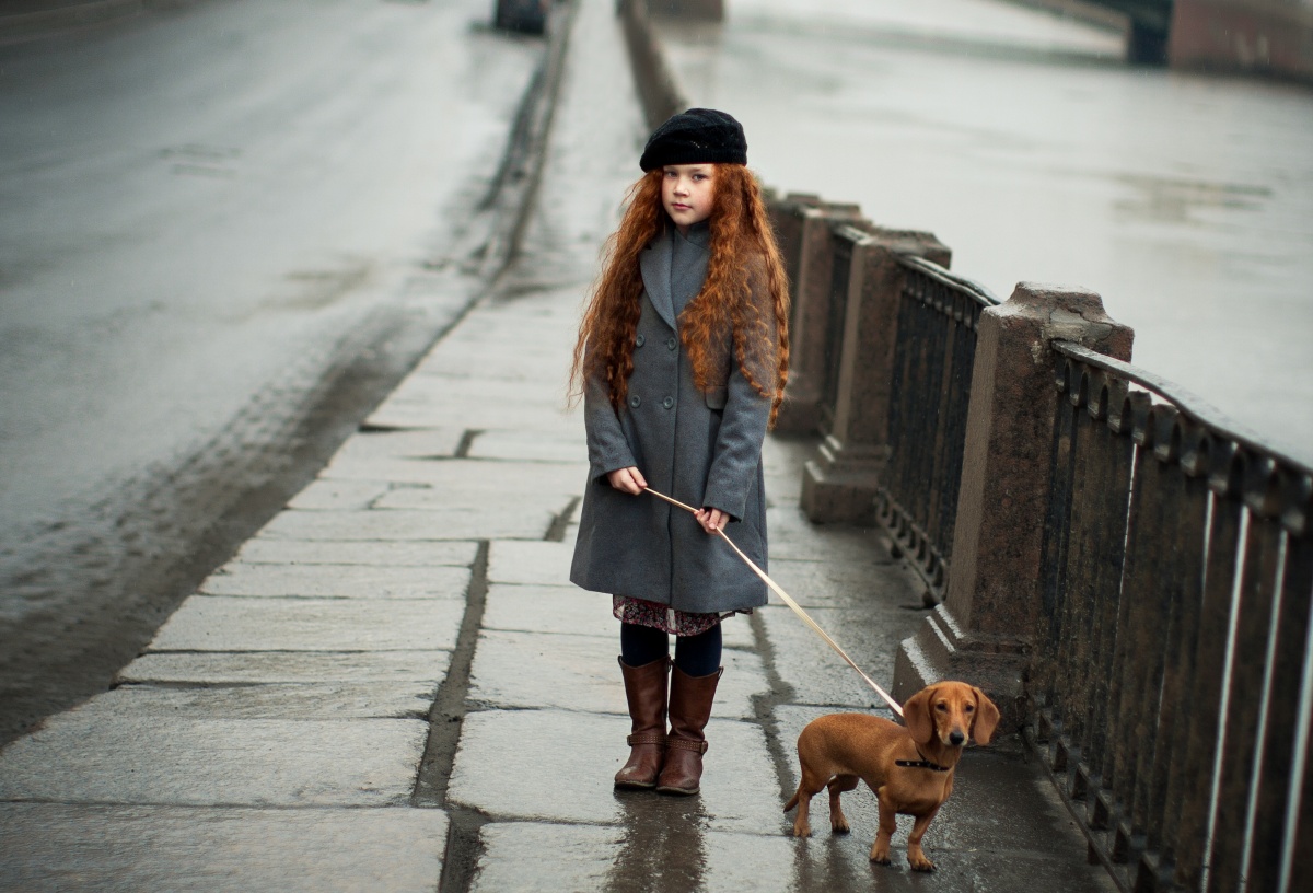 Mein kastanienbrauner Freund