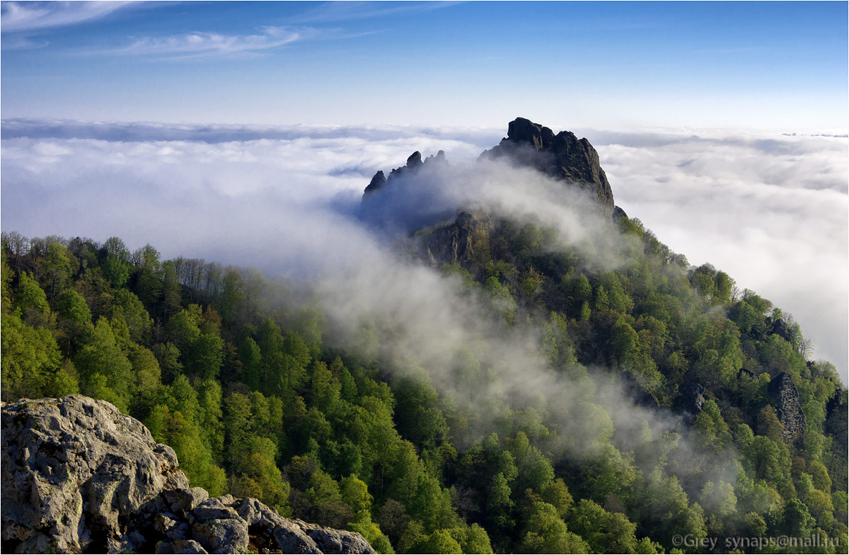 ... Chest Klippe - Riesen