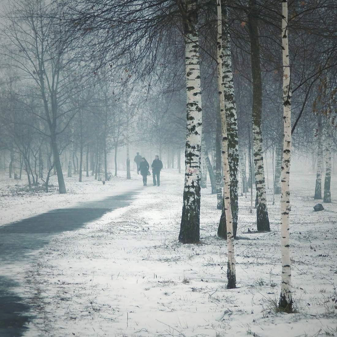 Im vergangenen Winter zu Fuß (Anfang März 2015)