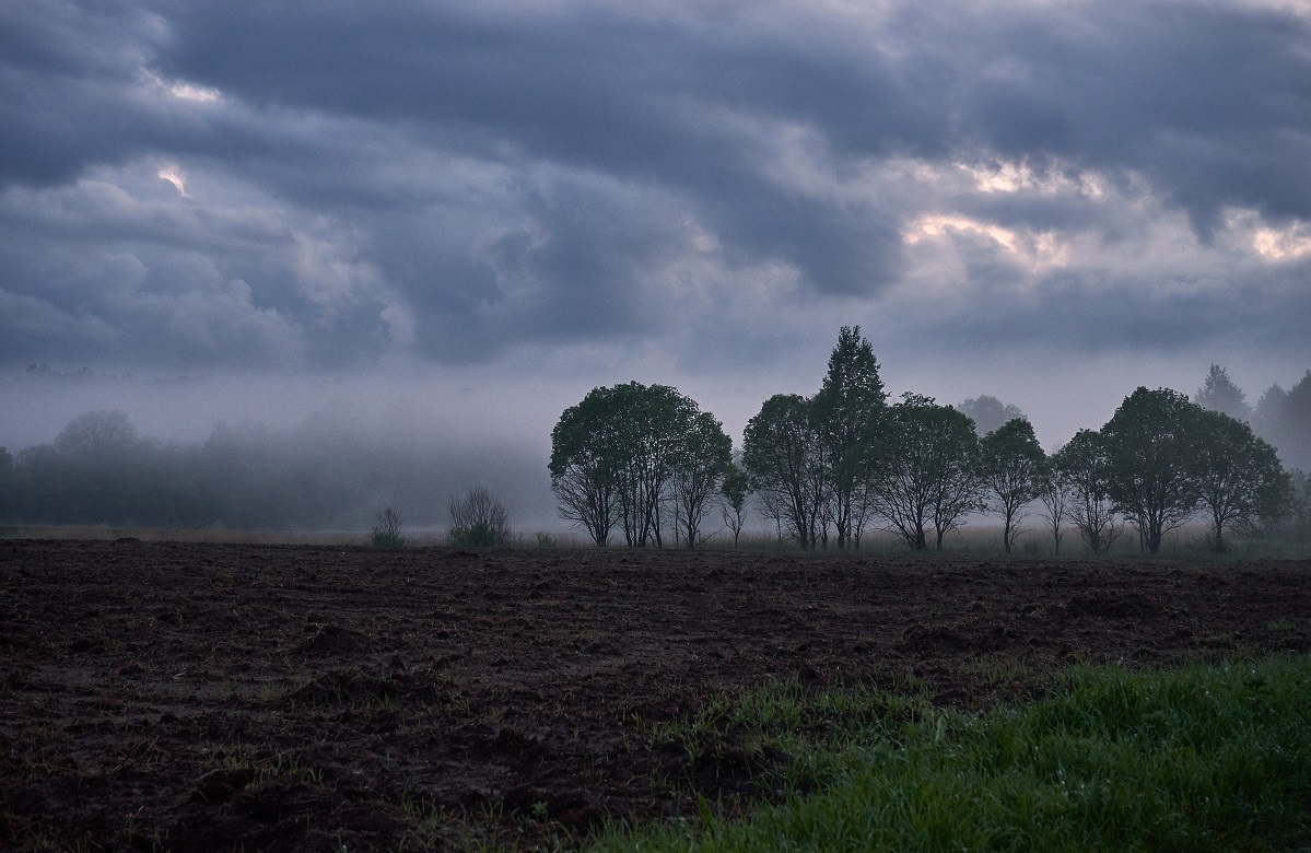 In den nebligen Stille ...
