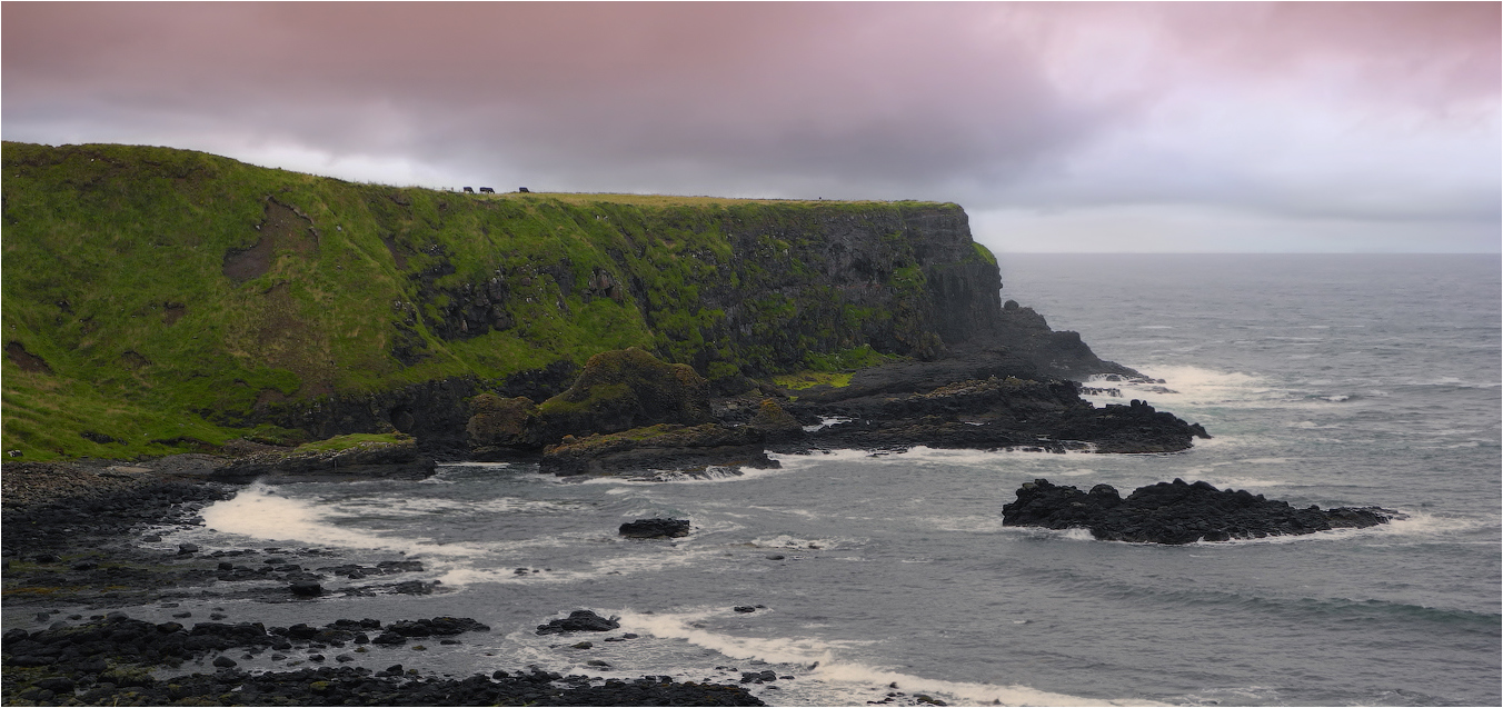 Coast Causeway Coast