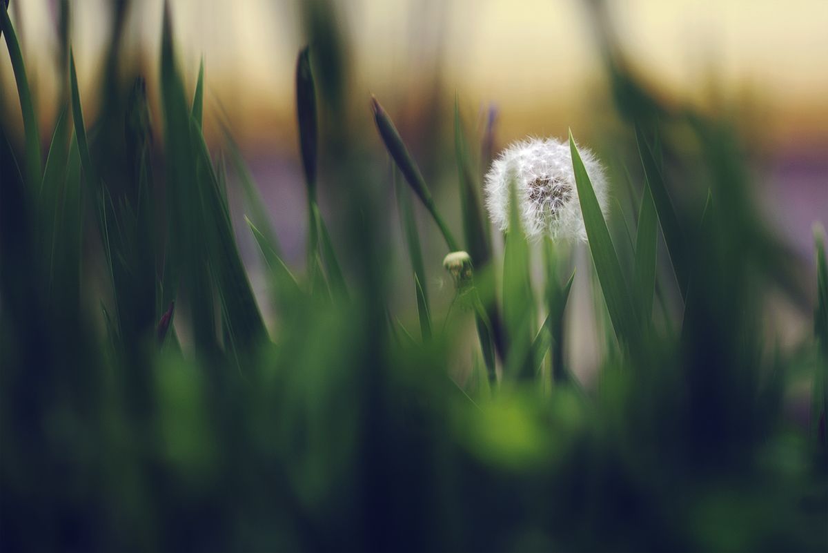 Verloren in der Menge