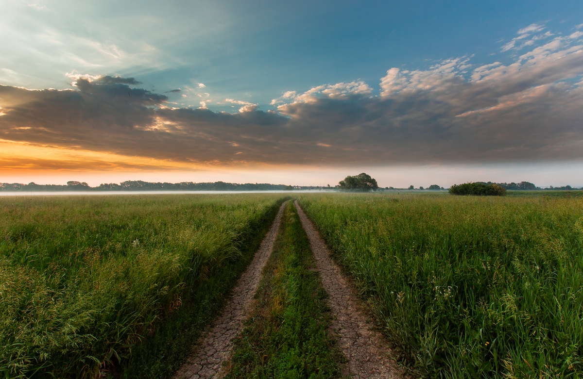 Die Geometrie des Sommers