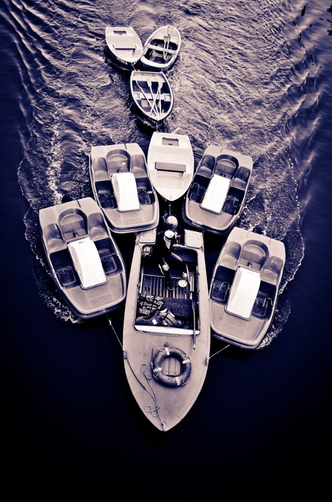 Wrangler nicht werfen sein