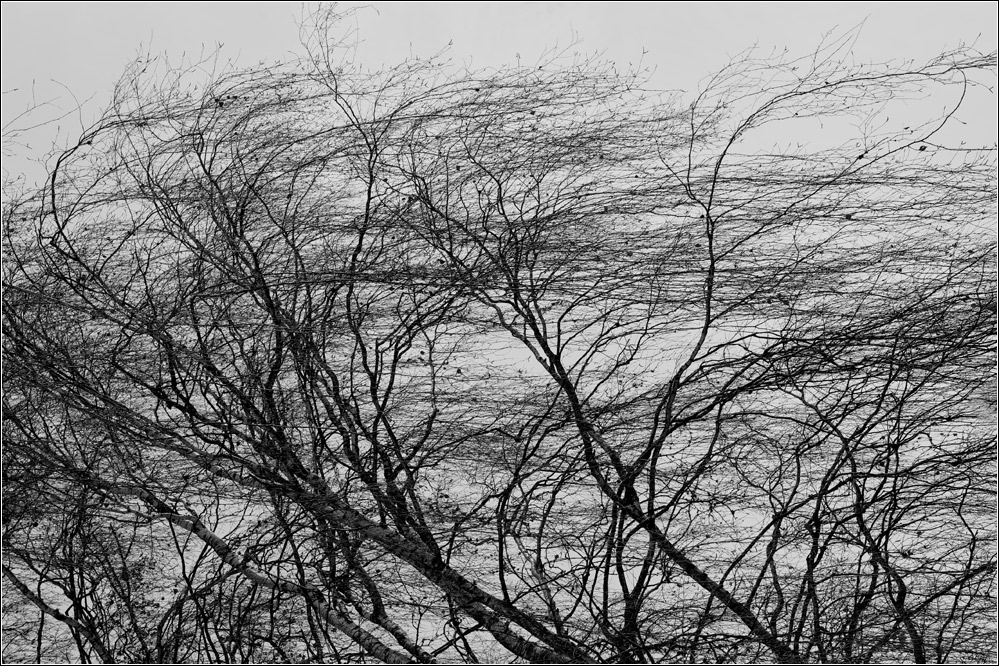 Aus einem anderen Blickwinkel