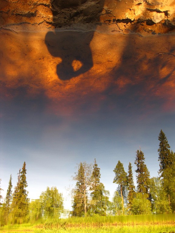 Aus einem anderen Blickwinkel