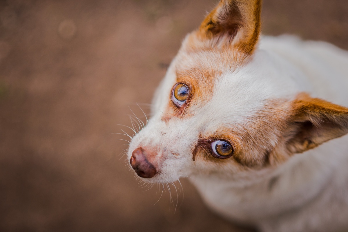 Aus einem anderen Blickwinkel