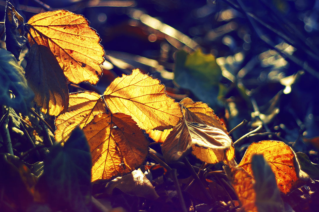 Aus einem anderen Blickwinkel