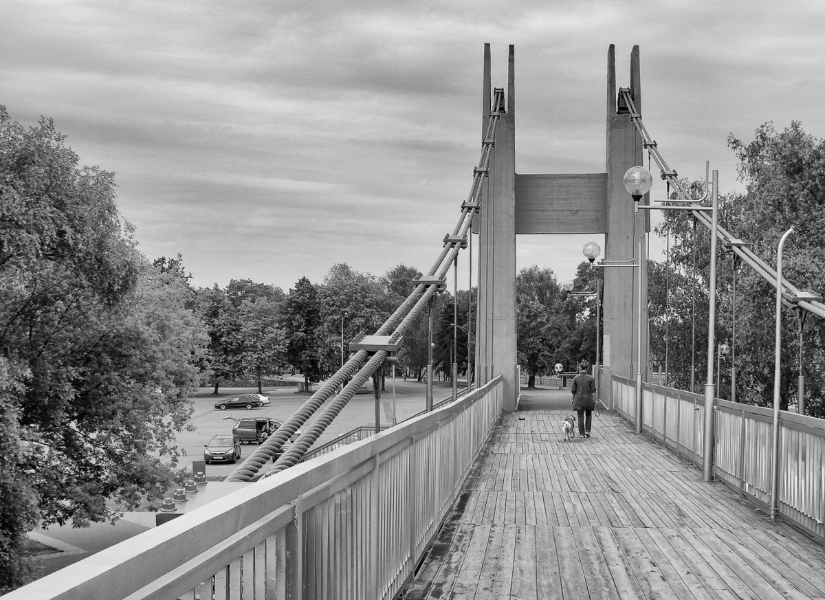 Gehen Sie mit einem Hund