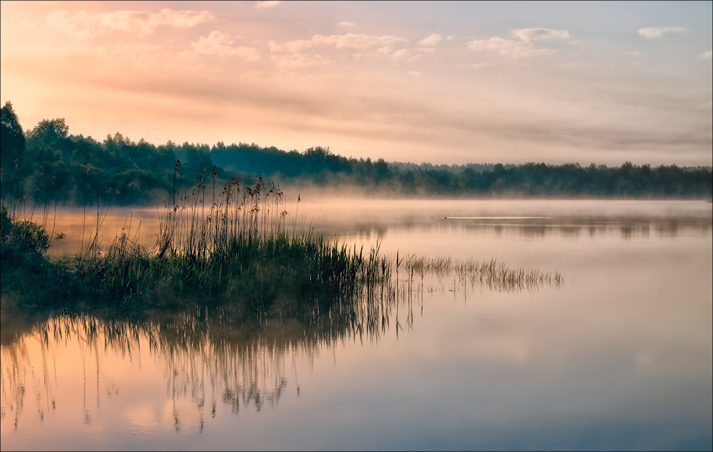 Über Nebel auf dem Fluss