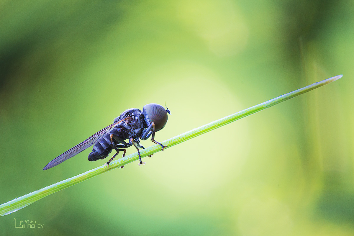 Inbetriebnahmehandbuch