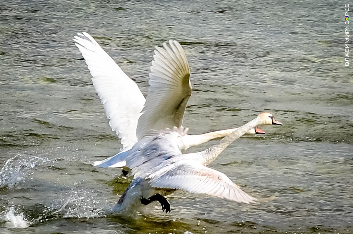 Bei der Destillation