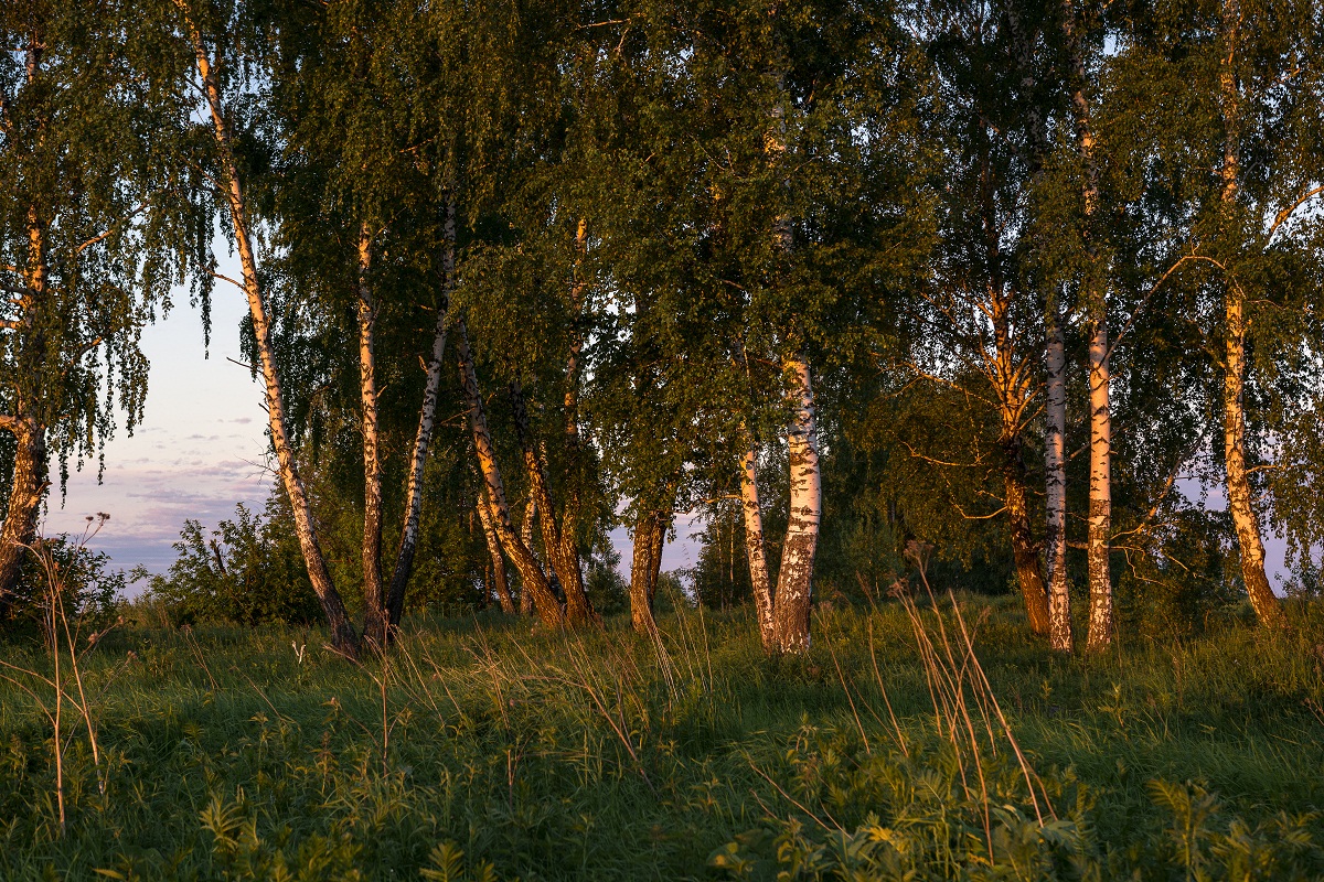 Im Licht des Sonnenuntergangs.