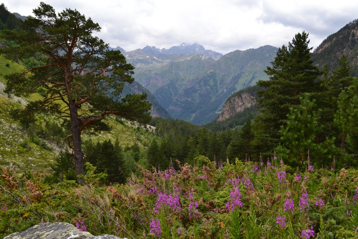 Flusstal. Dzhalkakol KCR