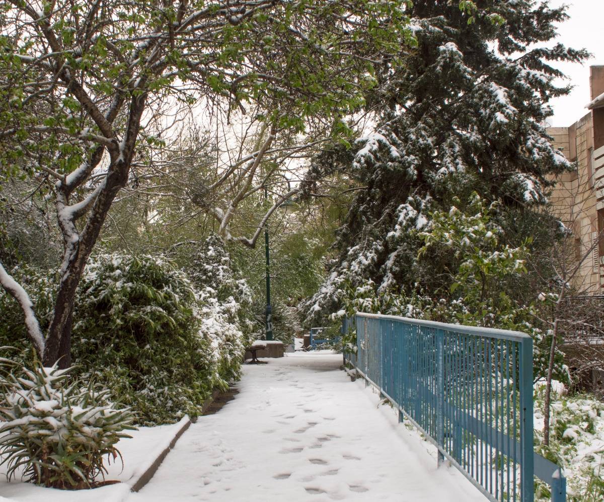 Schnee in Israel.