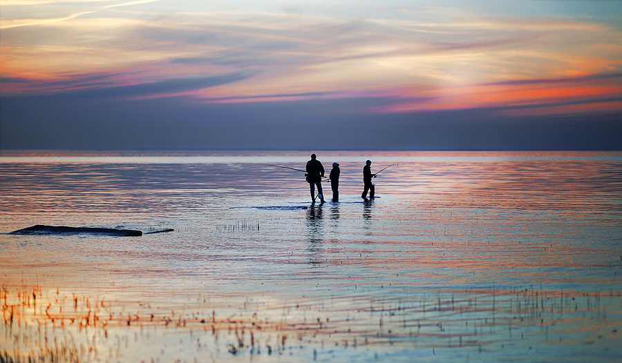 Weiße Nächte in Finnish
