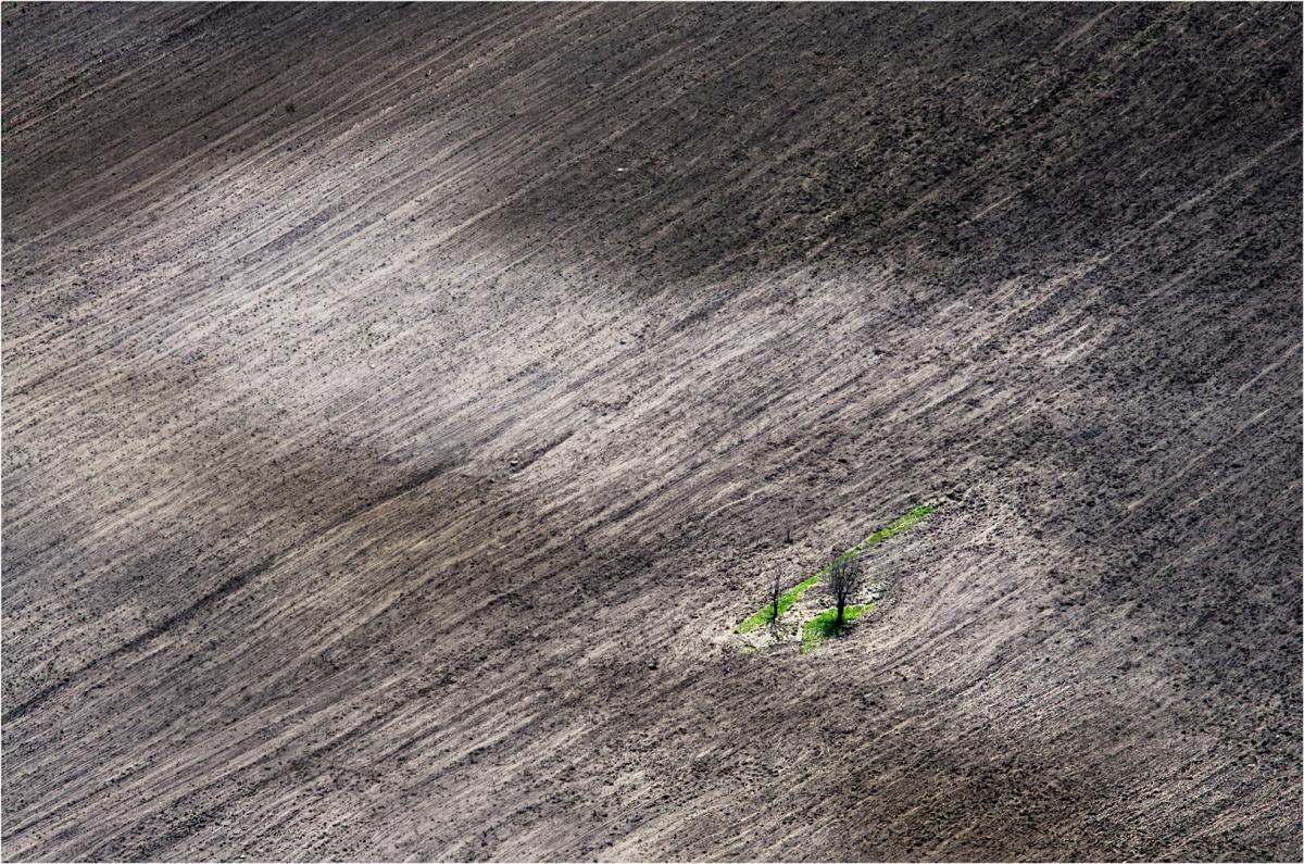 Liberty Island .....