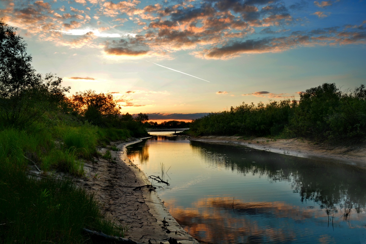 Paleskiya rachulki II