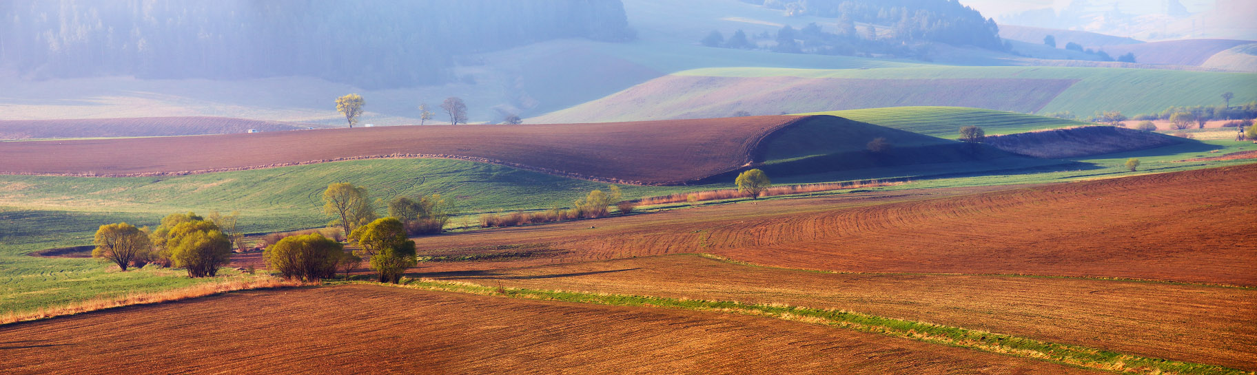Über Slovak "Moravia"