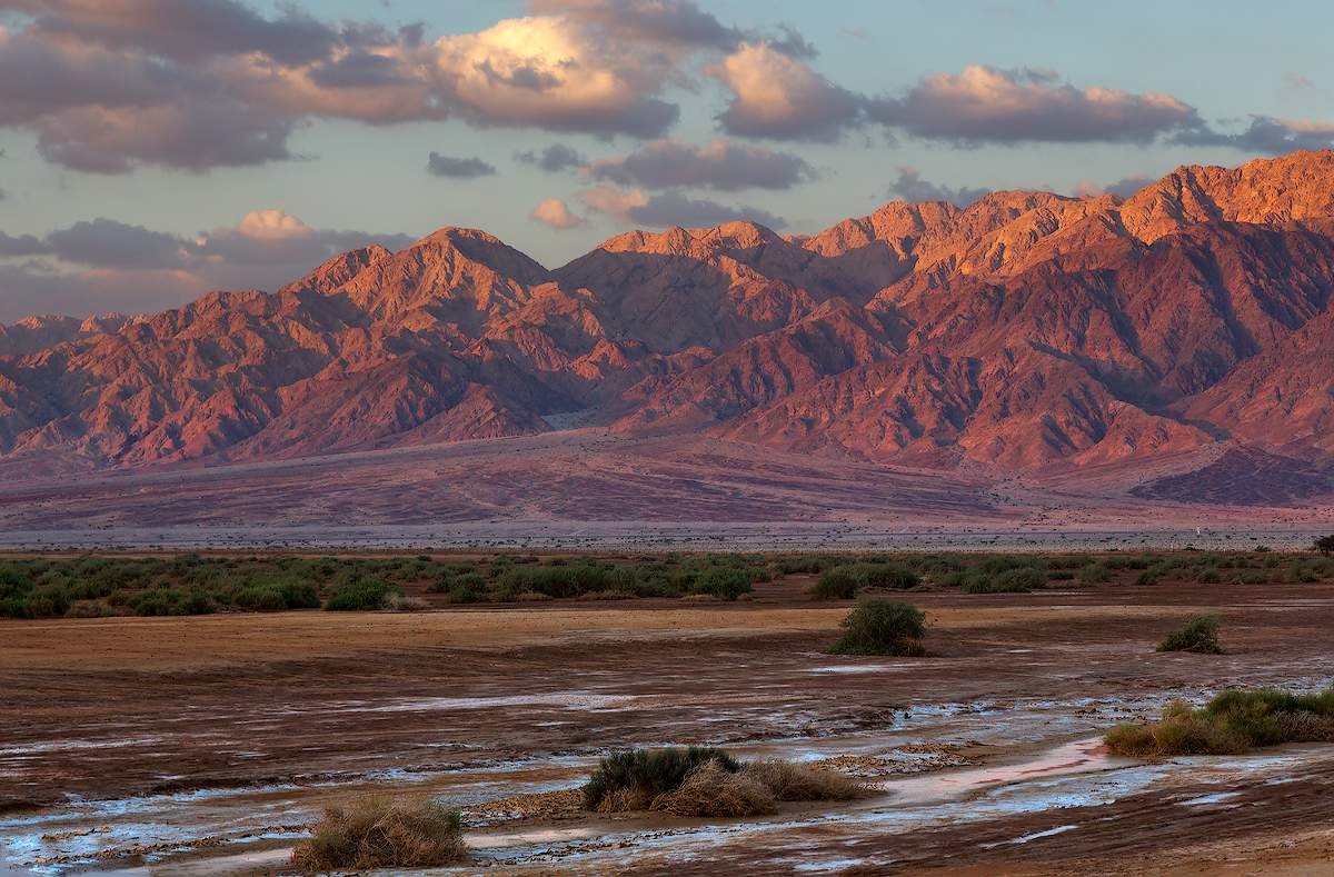 Nach dem regen, die Negev. Israel