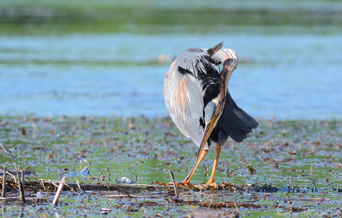 Er sah sich um, um zu sehen, wenn sie es nicht bereut ....