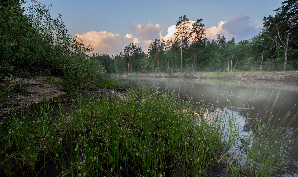 Das linke Ufer des Pra
