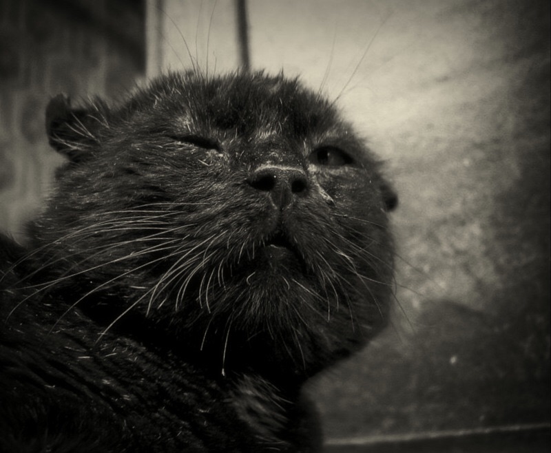 Wer sind die Richter?