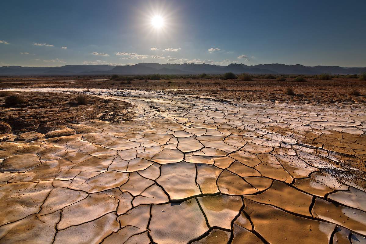 Nach dem regen, die Negev. Israel