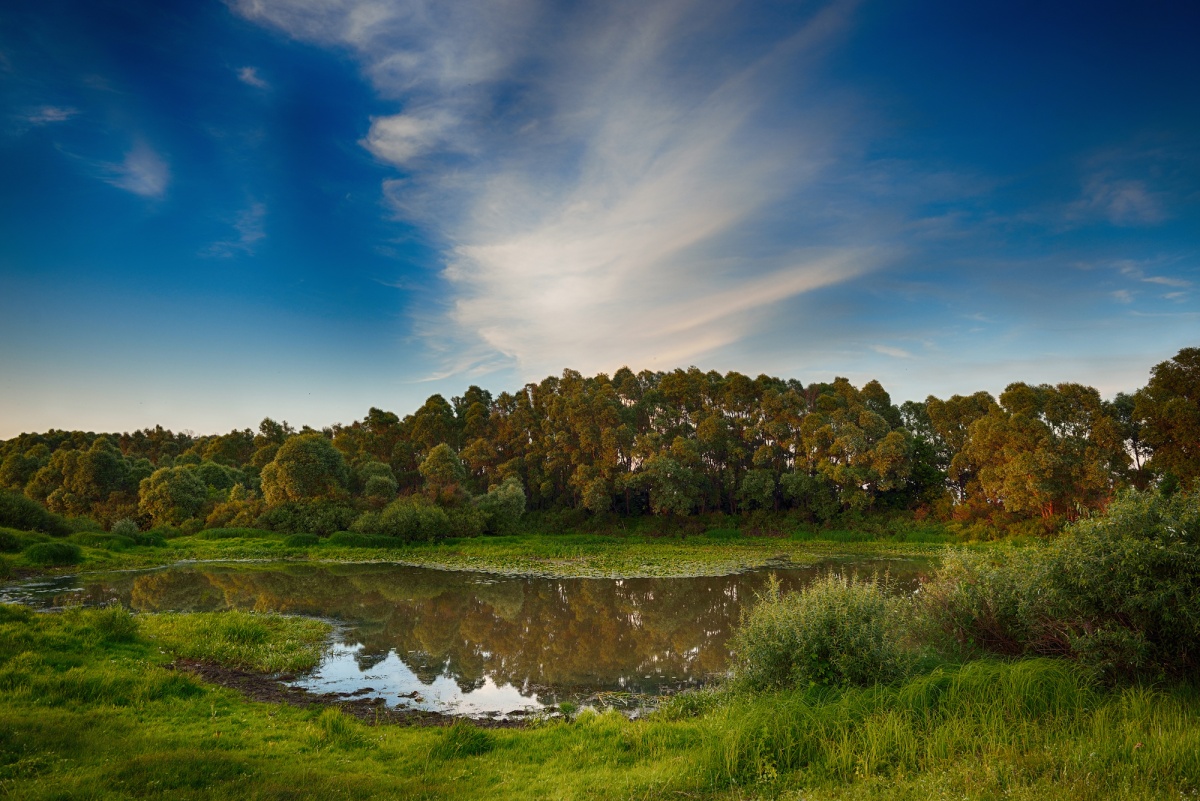 "An den Ufern der Desna"