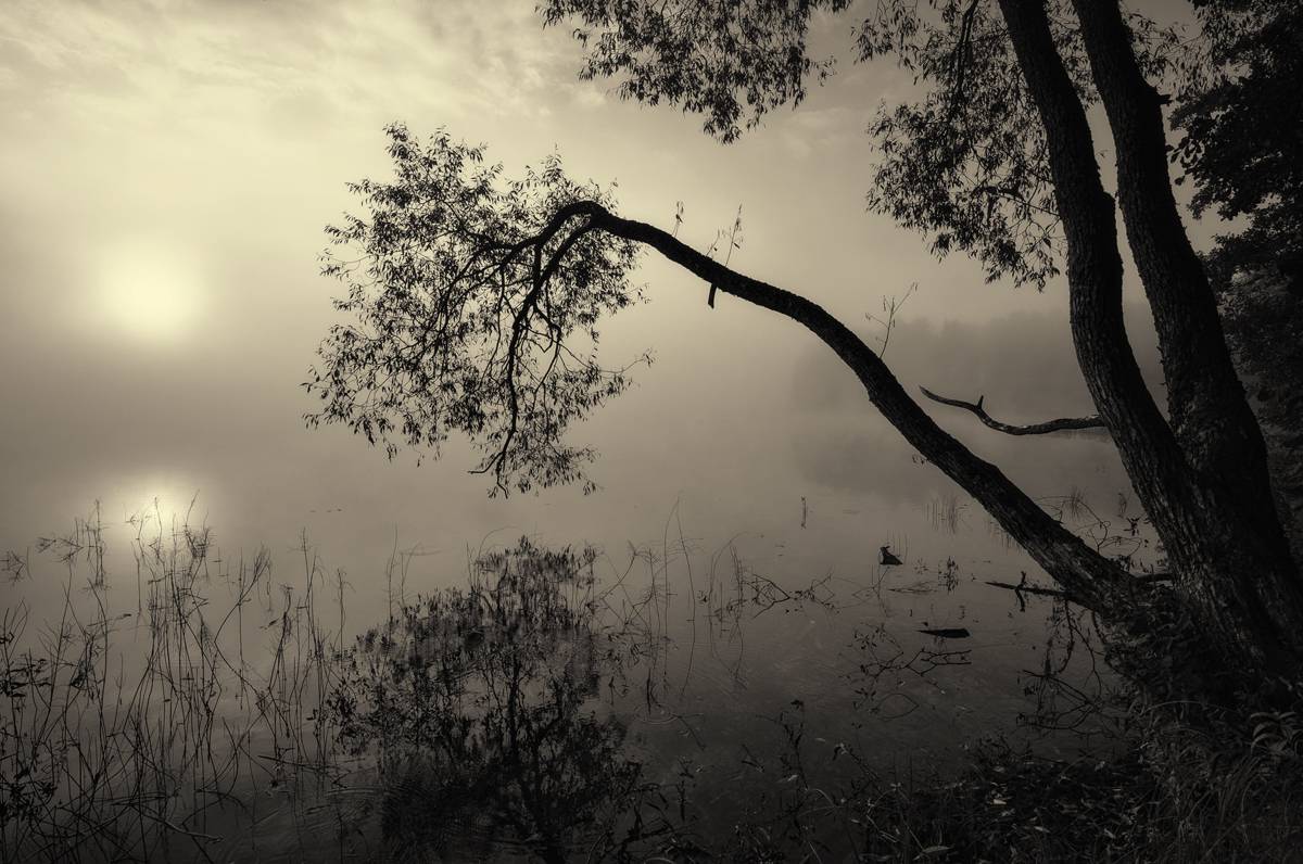 Verbeugung vor dem nebelhaften Stille ...