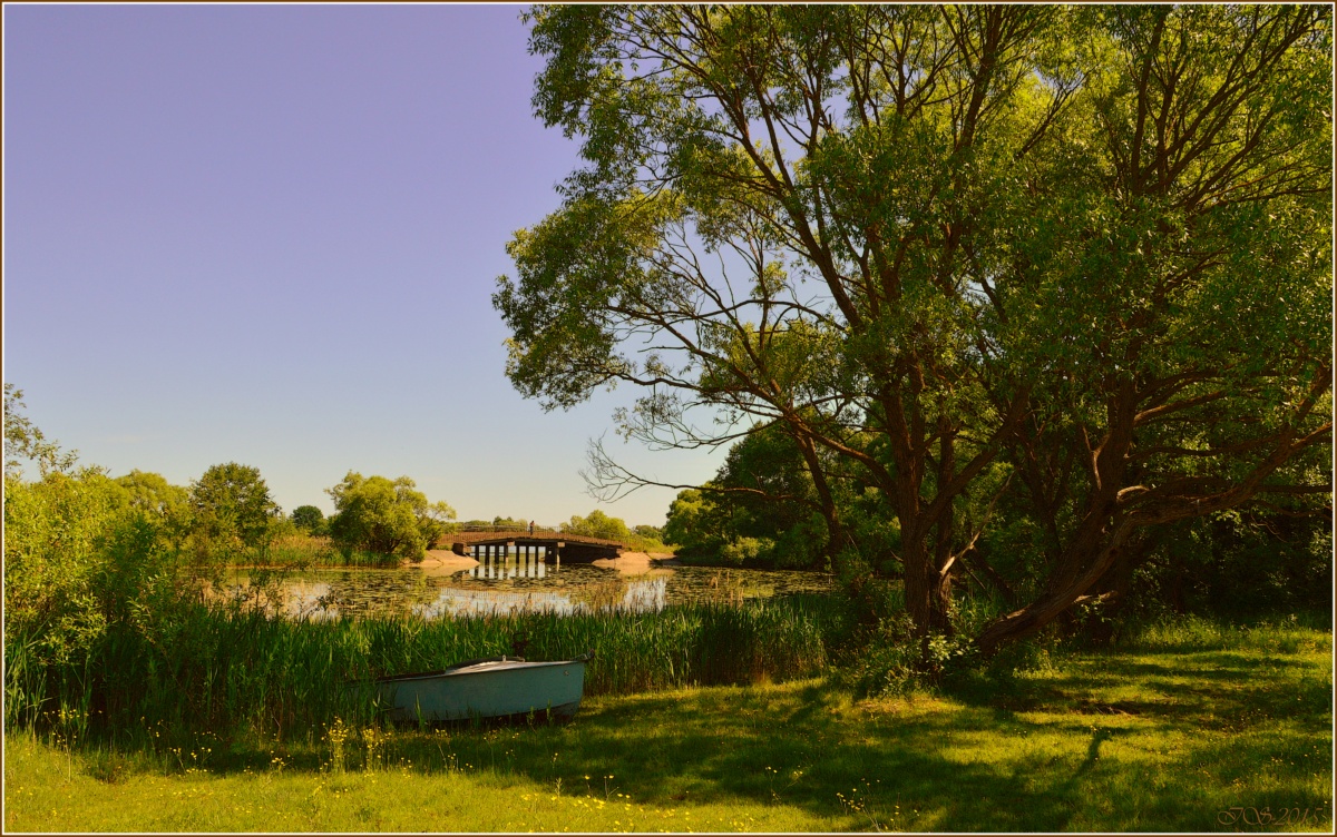 im Schatten eines großen Baumes