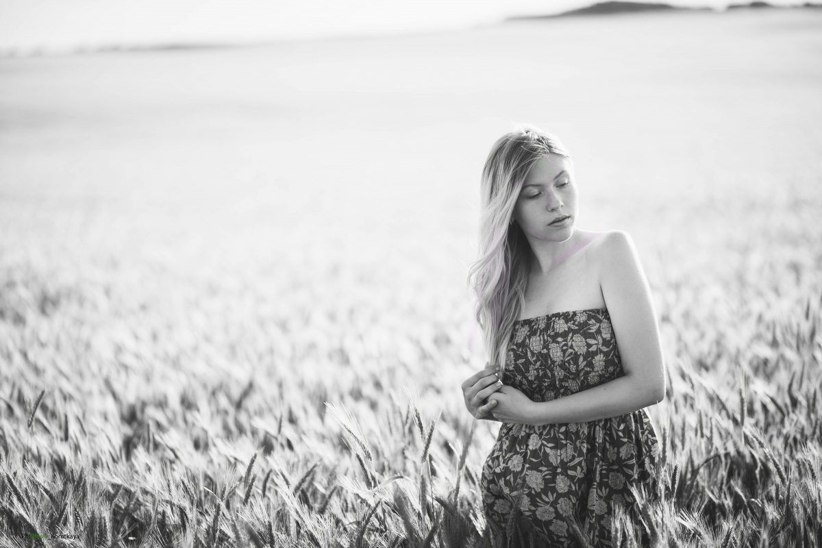 In einem Feld bei Sonnenuntergang.