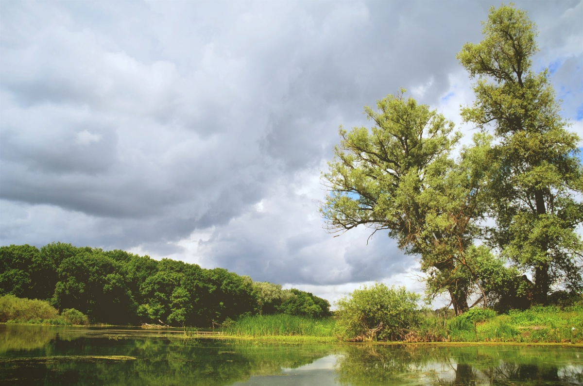 Big Lake Bare, Khopersky State Nature Reserve