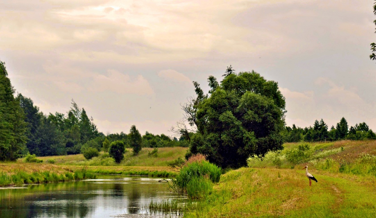 Weißrussisch Landschaft