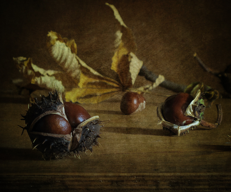 Ein wenig exotisch ...