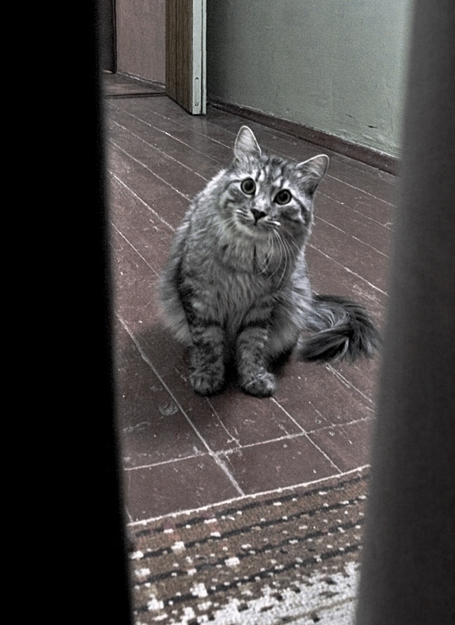 Und Masha ist möglich?